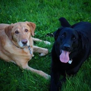 Meet your Posher, Quinn